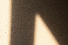 264