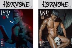 HORMONE4-139