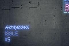 HOEMONE-issue5-2