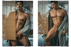 任壬HORMONE-NO.11-20