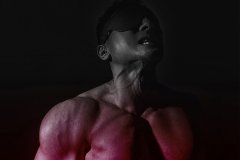 任壬HORMONE-NO.11-113