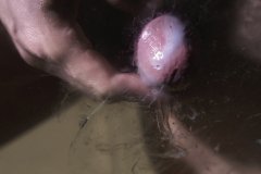 任壬HORMONE-NO.11-116