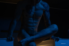 HORMONE-Issue-12-1-123