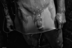 HORMONE-Issue-12-1-142