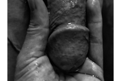 HORMONE-Issue-12-1-146