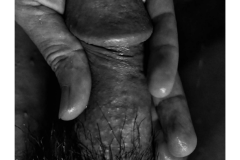 HORMONE-Issue-12-1-147