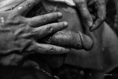 HORMONE-Issue-12-1-148