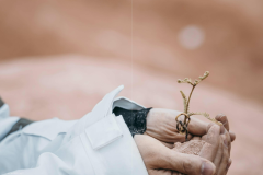 HORMONE-Issue-12-1-26