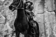 HORMONE-Issue-12-1-47