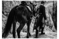 HORMONE-Issue-12-1-50