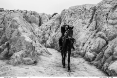 HORMONE-Issue-12-1-51