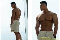 HORMONE-19-中册-26