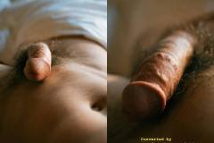 HORMONE-19-中册-90