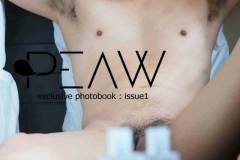 PEAW-01-001