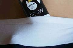 PEAW-01-100