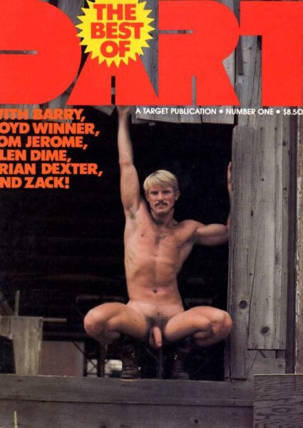 BEST OF DART THE No.1 1978