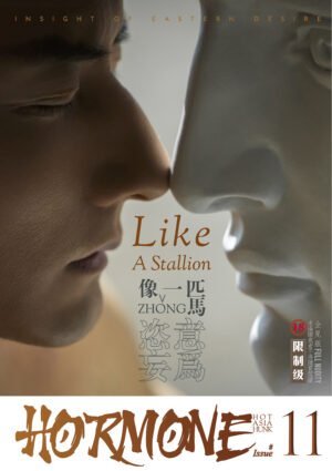 任壬HORMONE NO.11 1 1